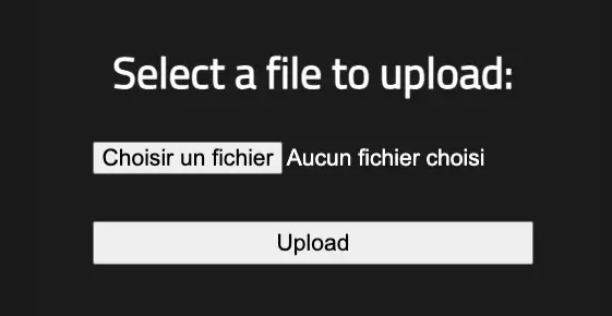 Screenshot burp